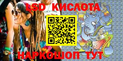 дживик Майкоп