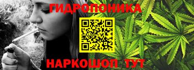 дживик Майкоп