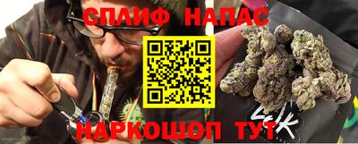 дживик Майкоп