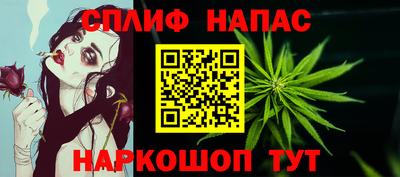дживик Майкоп