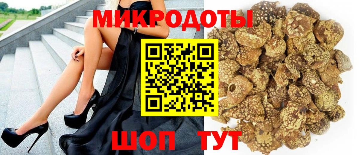 Псилоцибиновые грибы мицелий Тихвин